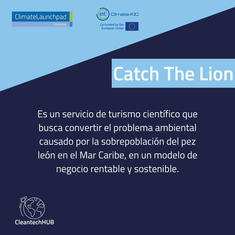Catch The Lion