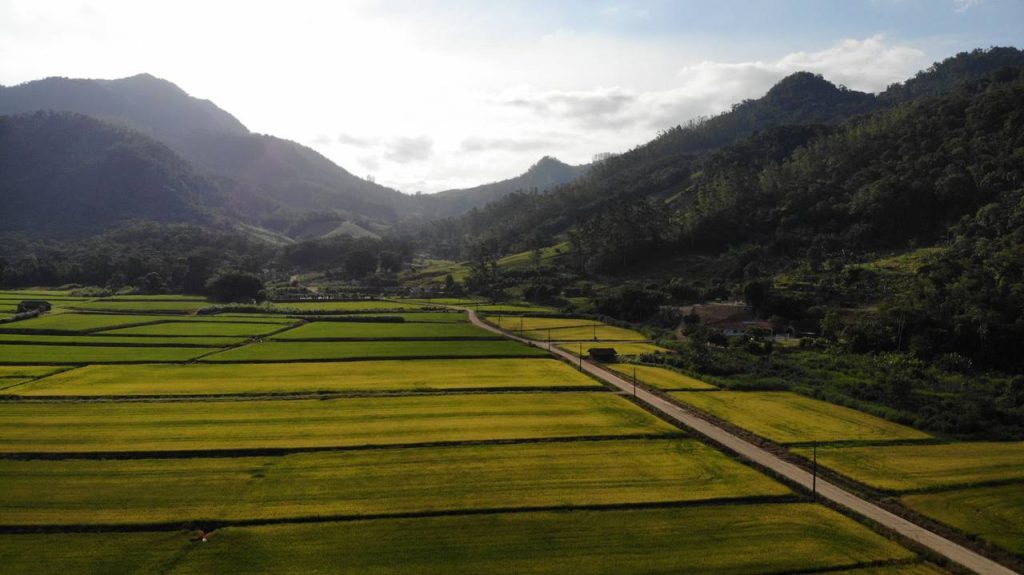 Empresa agrícola Boyacá accede a Línea Verde
